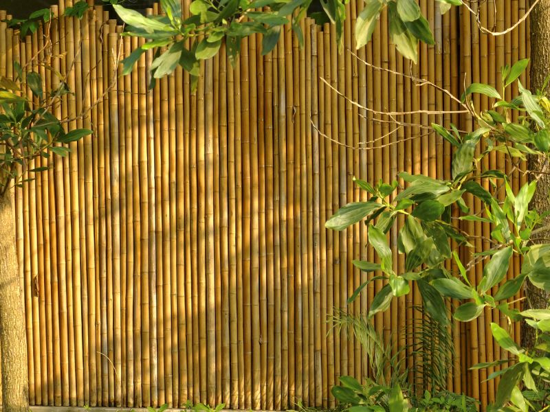 Bamboo Fences